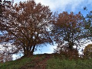 32 In decisa salita per il colletto di Redondello